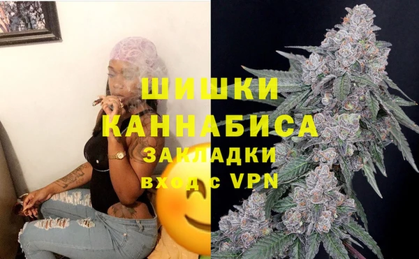 дмт Осташков