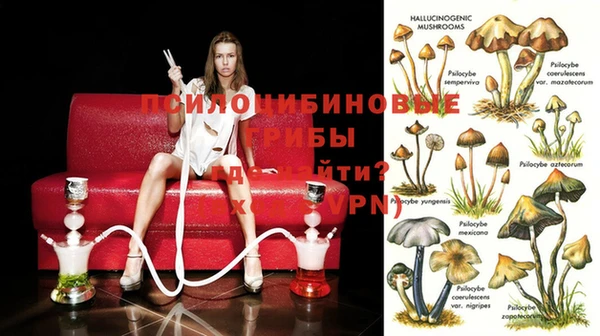 бошки Нефтегорск