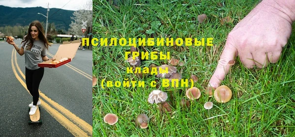 бошки Нефтегорск