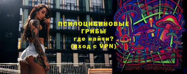 индика Осинники
