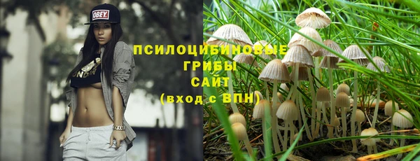 прущая мука Нея