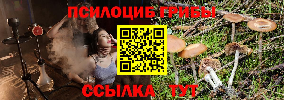 Псилоцибиновые грибы ЛСД Алапаевск